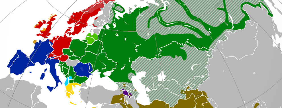 Mapping the birthplace of the world's largest language family