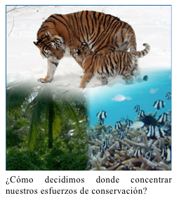 Description: ScreenShot1