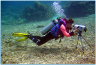 Description: Christine Huffard observing octopuses