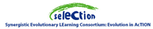 selection logo