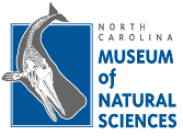 North Carolina Museum of Natural Sciences logo